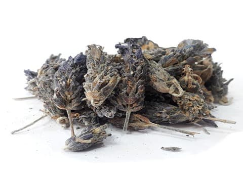 فروش گیاه اسطوخودوس